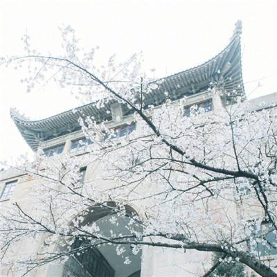 北京城市副中心政务服务中心新增贷款、股权交易等功能